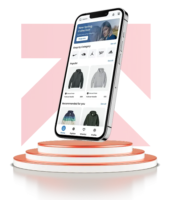 Ecommerce Website Development Services for Your Online Store in Faisalabad